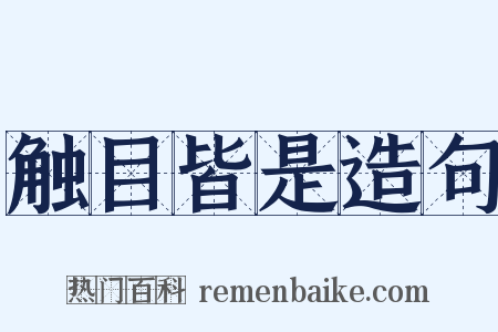 触目皆是造句是什么意思的图片